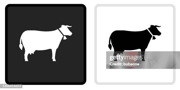 illustrations, cliparts, dessins animés et icônes de icône de vache sur le bouton noir avec le renversement blanc - vache noire et blanche