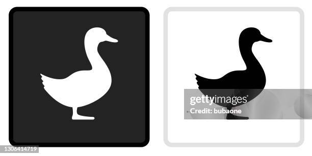 duck icon on black button with white rollover - duck stock illustrations