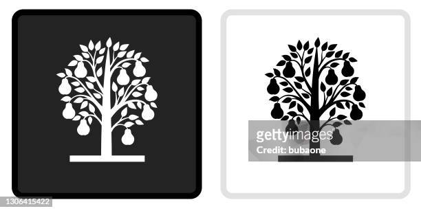 stockillustraties, clipart, cartoons en iconen met het pictogram van de boom van de peer op zwarte knoop met witte rollover - perenboom