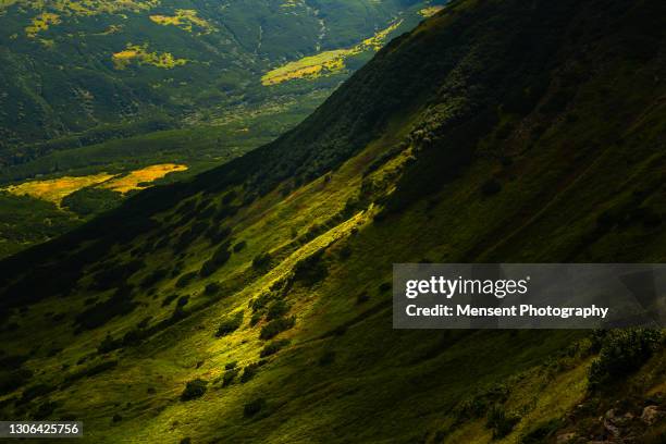 scenic view of mountains valley in light beams the green mountains in carpathian - alps romania stock pictures, royalty-free photos & images