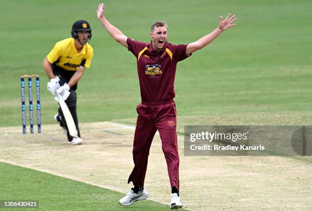 Billy Stanlake of Queensland appeals to the umpire but is unsuccessful during the Marsh One Day Cup match between Queensland and Western Australia at...