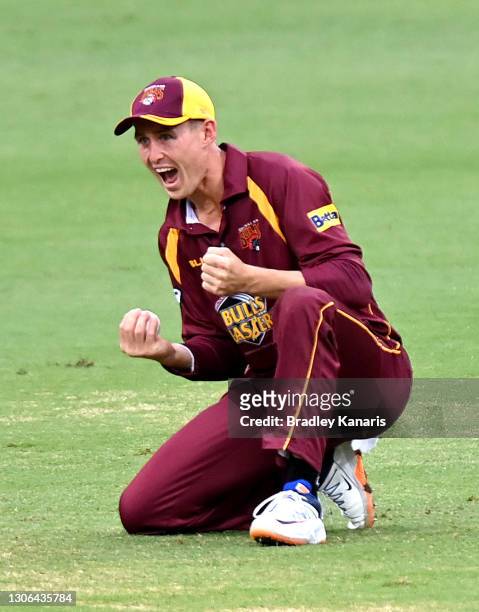 Marnus Labuschagne of Queensland celebrates after taking a catch to dismiss Sam Whiteman of Western Australia during the Marsh One Day Cup match...