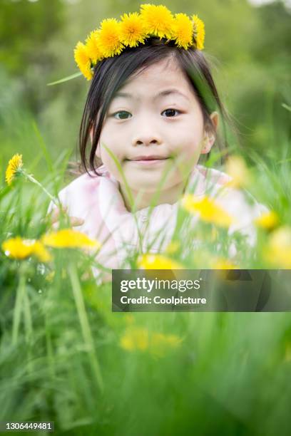 cute girl with dandelions. - bloemkroon stockfoto's en -beelden