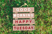 Text on wooden frame laying on green grass. Good morning happy Tuesday
