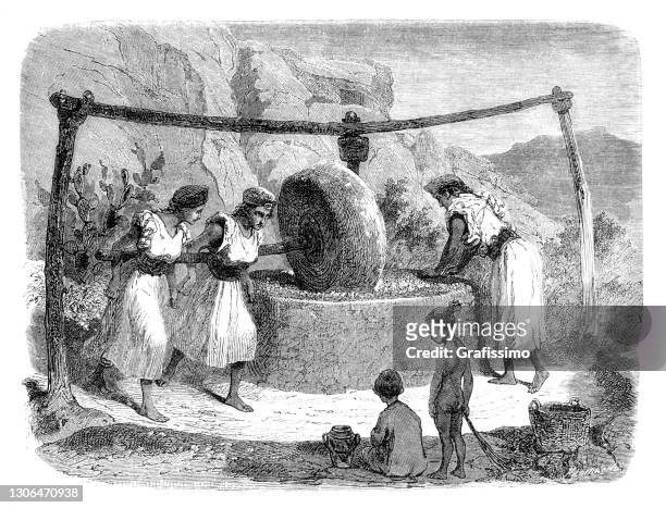 algeria women working at stone mill manufacturing olive oil 1867 - algeria oil stock illustrations
