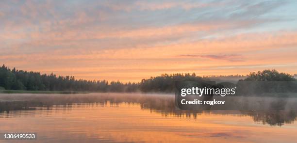 morgondimma på sjön, soluppgång skjuten. vacker naturlig bakgrund. - vass gräsfamiljen bildbanksfoton och bilder
