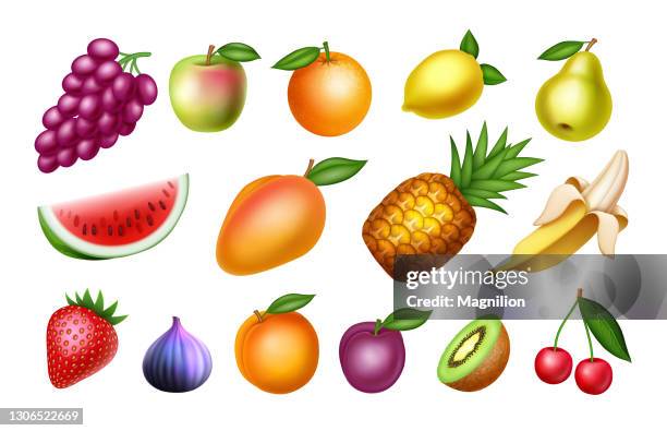 fruit vector set - realismus stock-grafiken, -clipart, -cartoons und -symbole