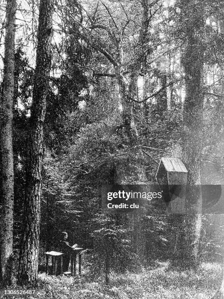 religeous prayer deep in the forest - praying outside stock illustrations