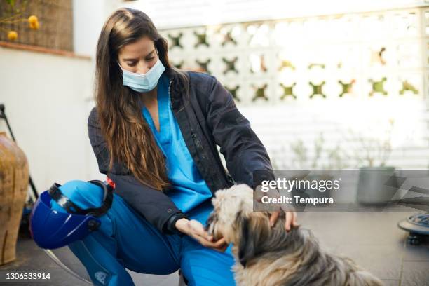 a nurse is greeted by her dog on arriving home. - returning home after work stock pictures, royalty-free photos & images