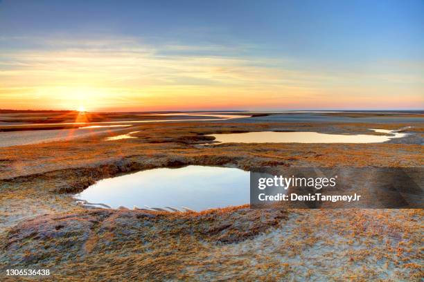 paine's creek in brewster - massachusetts bay stock pictures, royalty-free photos & images