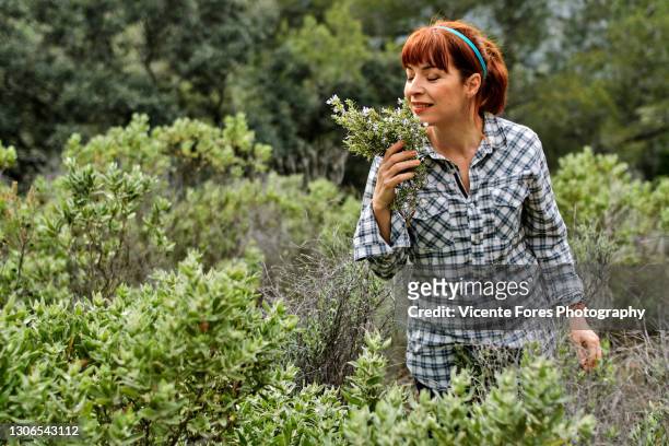 redhead girl smelling a rosemary with a squared shirt - relajación - fotografias e filmes do acervo