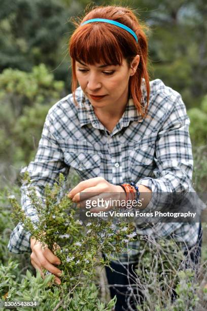 redhead girl picking rosemary with a squared shirt - relajación photos et images de collection