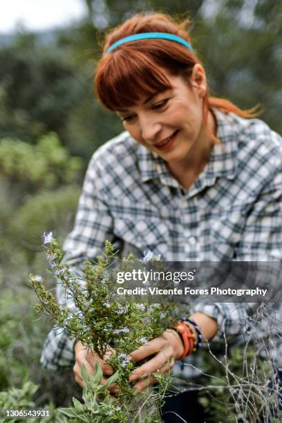 redhead girl picking rosemary with a squared shirt - relajación photos et images de collection