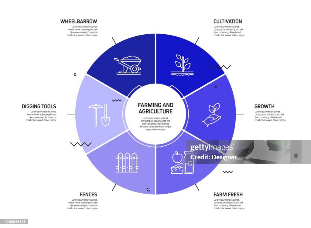 Farming And Agriculture Related Process Infographic Template Process ...