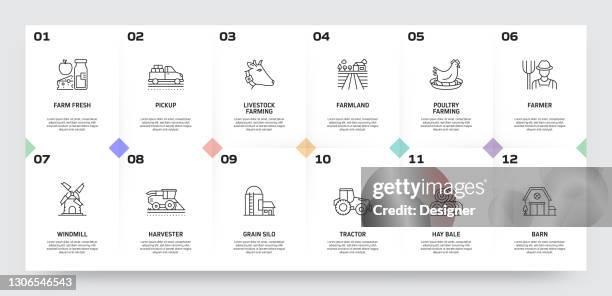 Farming And Agriculture Related Process Infographic Template Process ...
