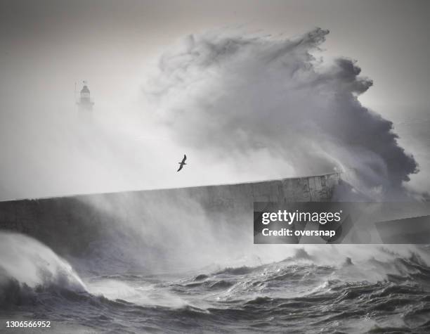 oceaanstorm - storm lighthouse stockfoto's en -beelden