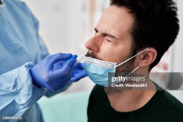 medical professional collecting sample using nasal swab for covid-19 test - cotton swab stock pictures, royalty-free photos & images