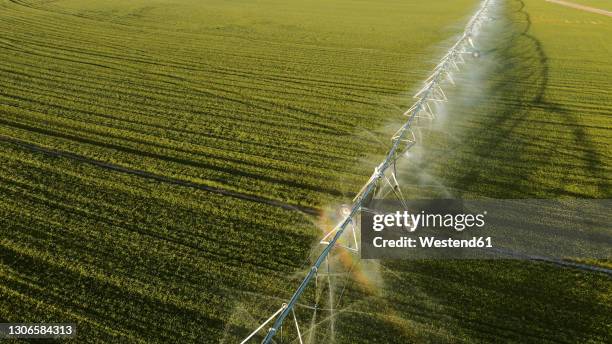 aerial view of agricultural sprinkler spraying field - irrigation equipment stock pictures, royalty-free photos & images