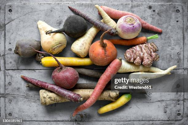 raw vegetables lying on gray wooden surface - salsify fotografías e imágenes de stock