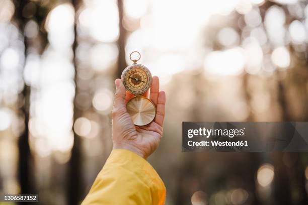 woman holding compass in forest - brújula fotografías e imágenes de stock