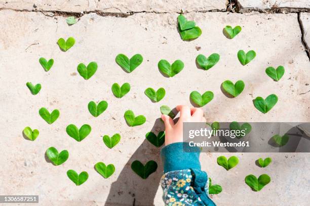 girl arranging heart shaped green leaves pattern on cement - 4 leaf clover ストックフォトと画像