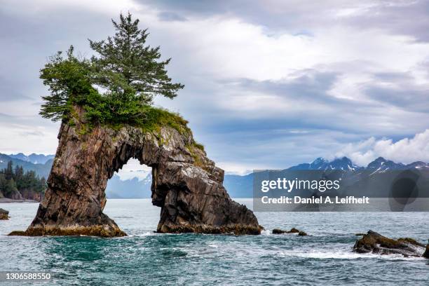 sea arch at kenai fjords national park - arches nationalpark stock-fotos und bilder