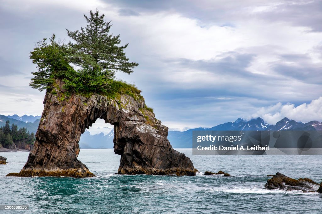 Sea Arch at Kenai Fjords National Park