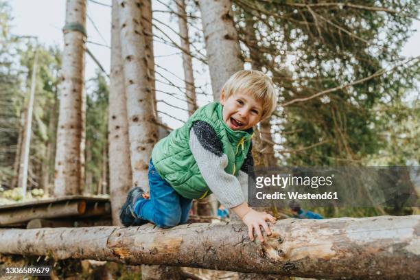 playful boy crawling on log in forest at salzburger land, austria - kind im grundschulalter stock-fotos und bilder