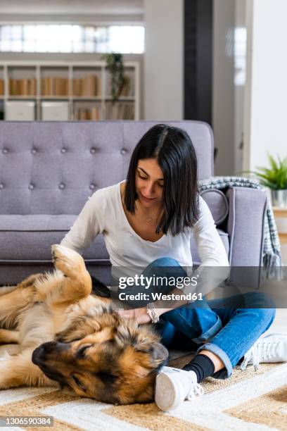 playful young woman playing with pet dog while sitting on carpet at home - pastore tedesco foto e immagini stock