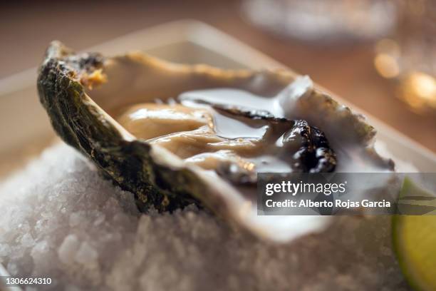 close-up picture of a opened oyster - cooking fish stock pictures, royalty-free photos & images