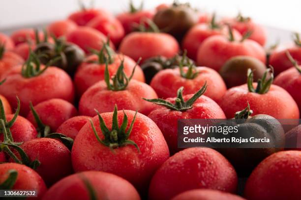 fresh tomatoes composition - estudio de mercado fotografías e imágenes de stock