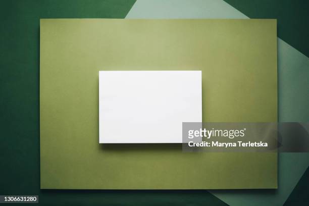 stylish background with a white sheet. - leaves white background stockfoto's en -beelden