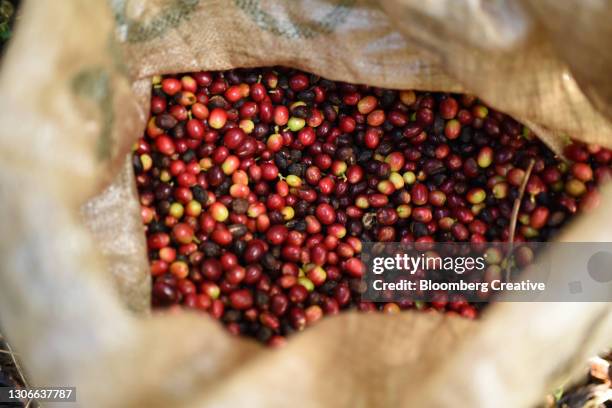 coffee beans - coffee bag stock-fotos und bilder