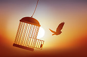 The freedom of a bird leaving its cage.