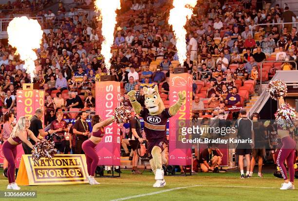 The Broncos mascot runs onto the field of play during the round one NRL match between the Brisbane Broncos and the Parramatta Eels at Suncorp...