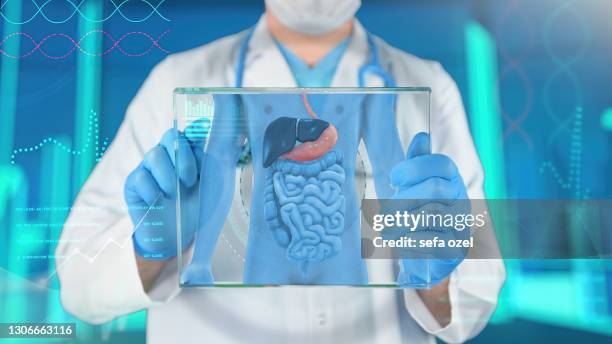 human stomach medical exam - human intestine stock-fotos und bilder