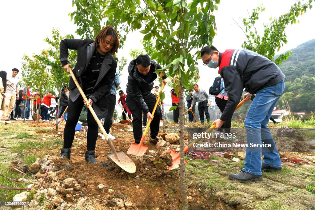 National Tree Planting Day Marked In China
