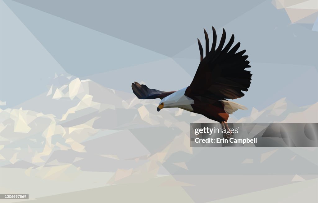 Eagle Flight Math Geometrical Illustration Of An Eagle Flying High-Res Vector Graphic ...