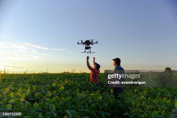 drohne in sojabohnen-ernte. - flying drone stock-fotos und bilder