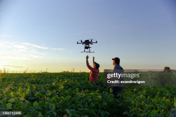 drone in soybean crop. - drone pilot stock pictures, royalty-free photos & images