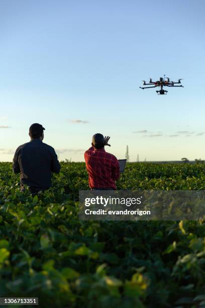 drone in sojagewas. - low flying aircraft stockfoto's en -beelden