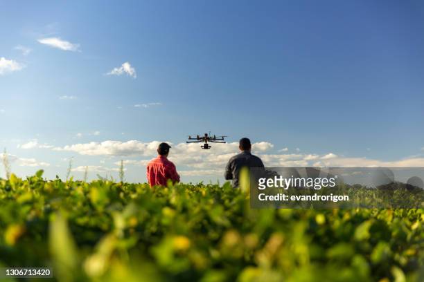 drone in soybean crop. - drone technology stock pictures, royalty-free photos & images