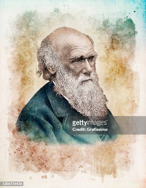 ilustrações, clipart, desenhos animados e ícones de retrato naturalista cientista charles darwin - retrato artístico