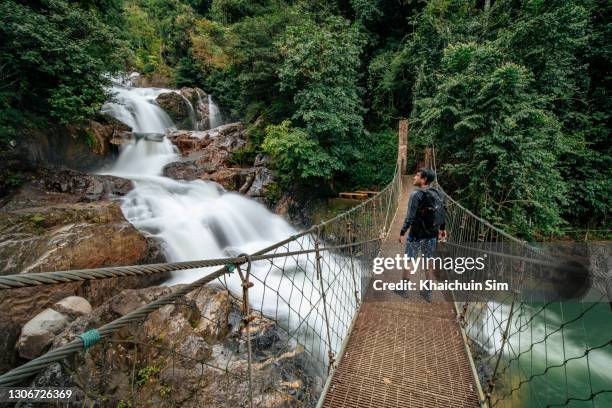 waterfall in tropical jungle and a tourist standing on hanging bridge - terengganu 個照片及圖片檔