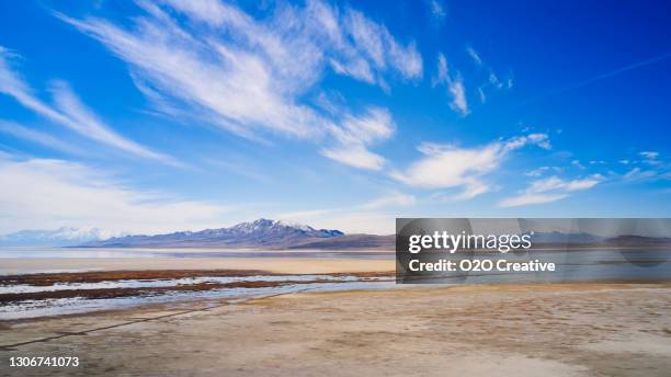 antelope island utah - ilha de antelope imagens e fotografias de stock