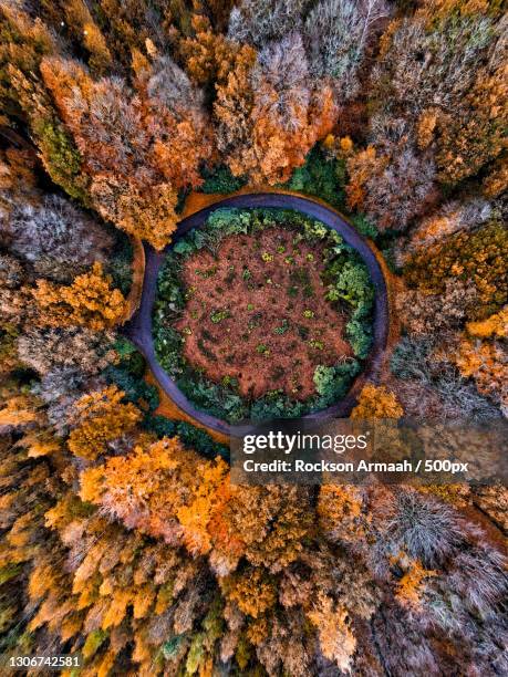 aerial view of autumn trees in forest,beernem,belgium - belgium aerial stock pictures, royalty-free photos & images