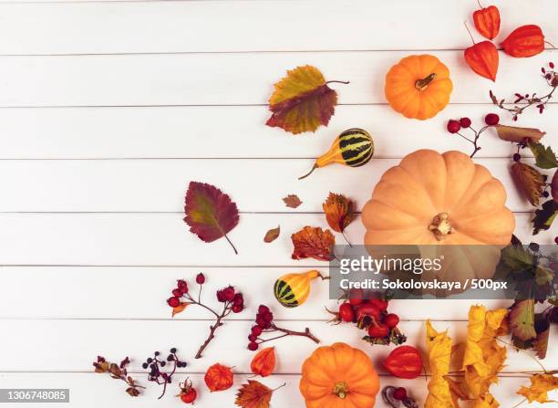 high angle view of pumpkins and maple leaves on table - fall harvest table stock pictures, royalty-free photos & images