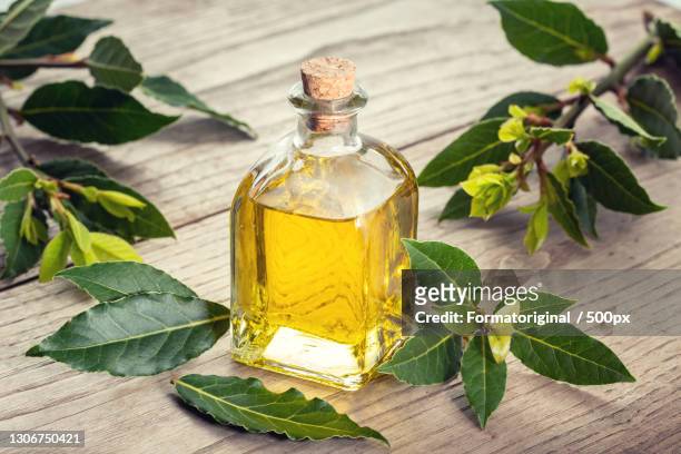 close-up of oil with oil in bottle on table - bay leaf stock pictures, royalty-free photos & images