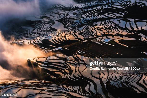 the beautiful spring and the terraced fields - yuanyang stockfoto's en -beelden