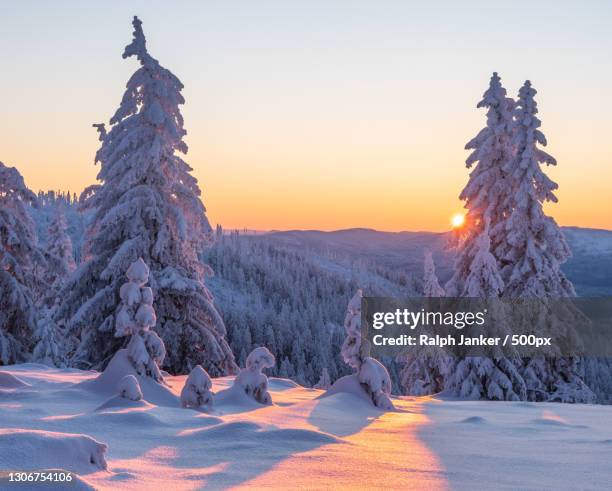 scenic view of snow covered landscape against sky during sunset,bayerischer wald,haselbach,germany - nationalpark bayerischer wald stock-fotos und bilder